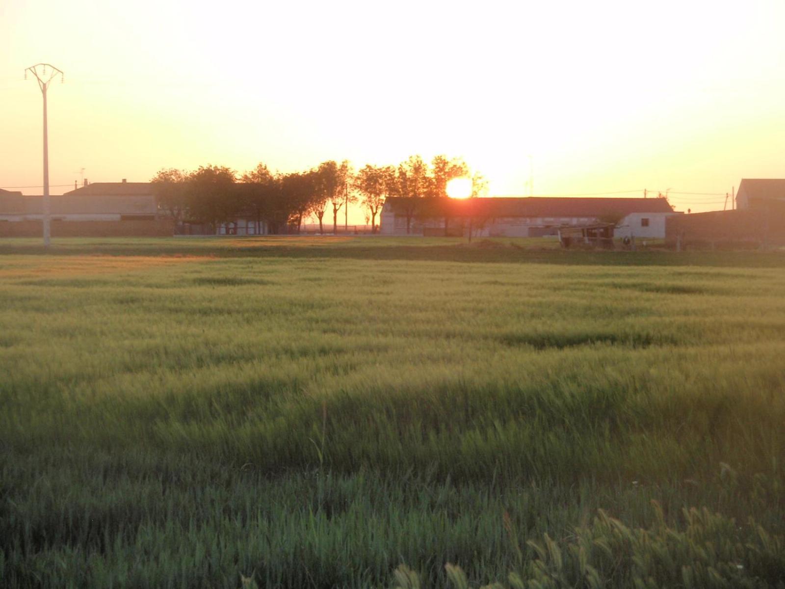 Casa Rural La Sastreria De Adanero Εξωτερικό φωτογραφία